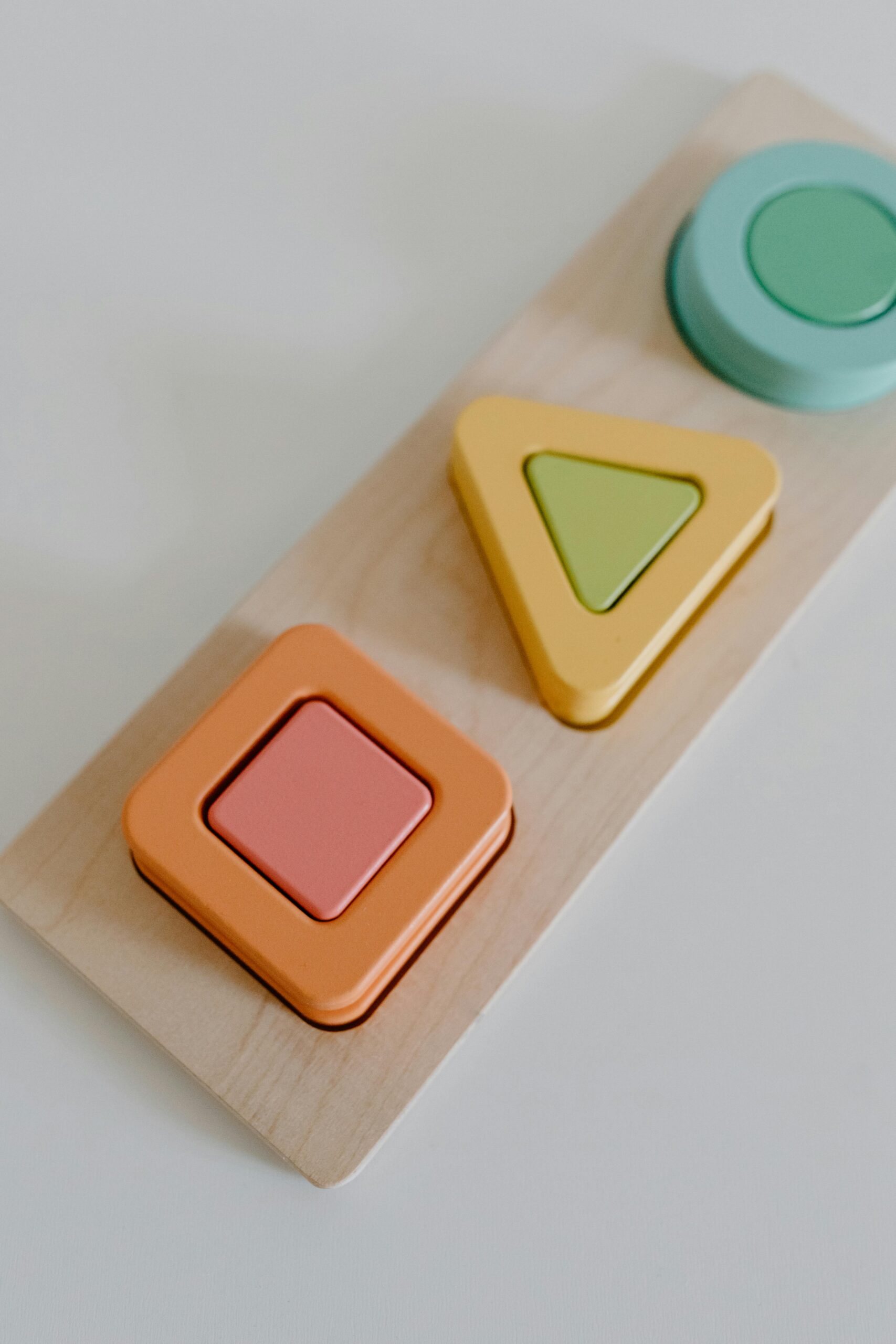 Home_Evolukit_WIP A vibrant educational toy that enhances children